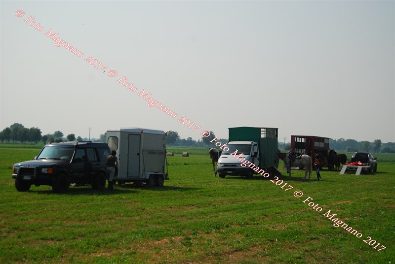 DSC_4931.JPG